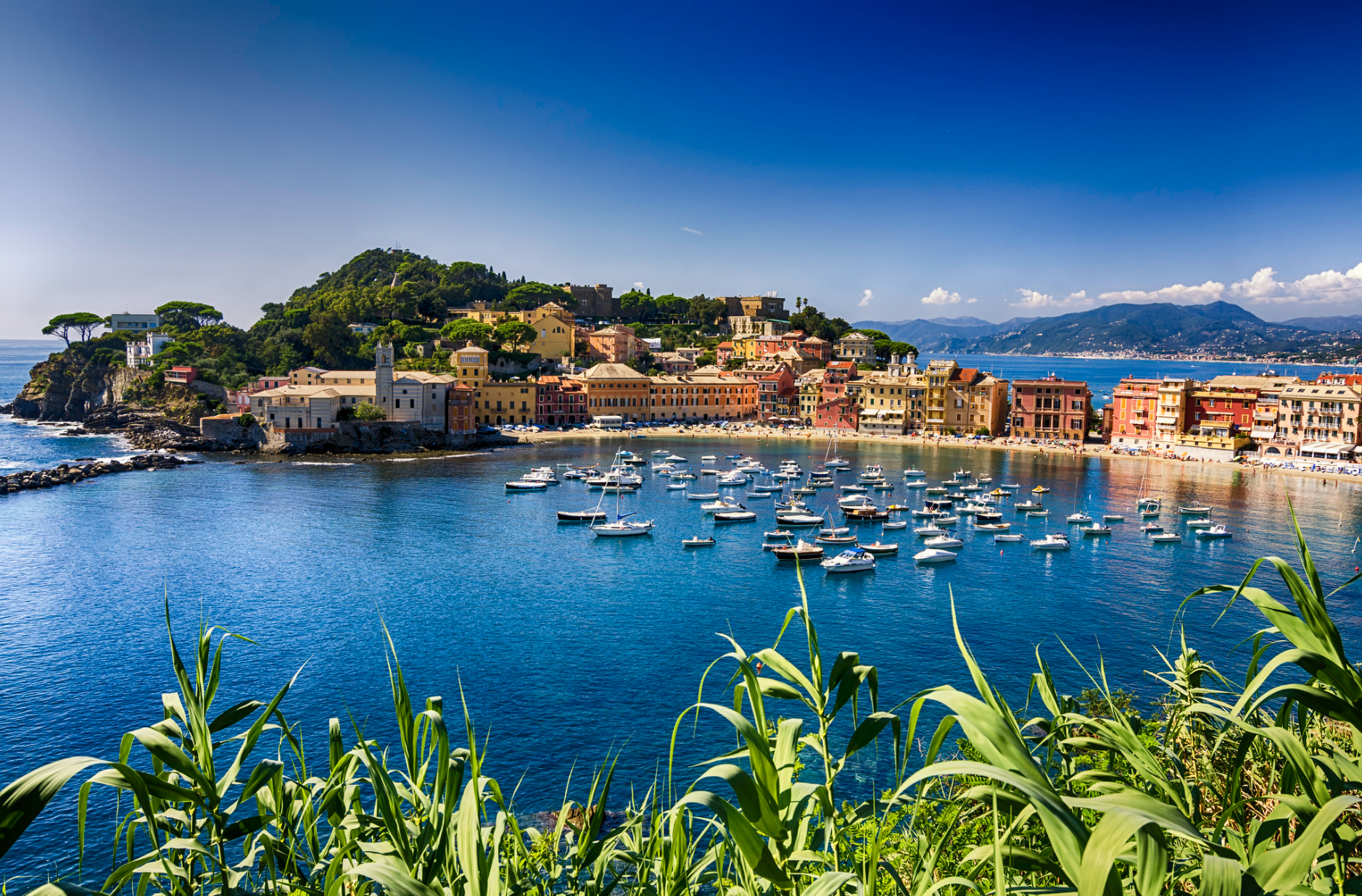 Un ristorante, a Sestri*