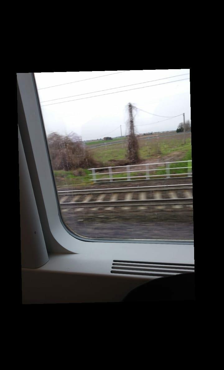 Quel treno