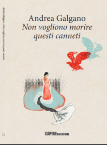 Il pensiero di Alex: Rimini di Andrea Galgano (di Alessandra Corbetta/@alex.corbetta)